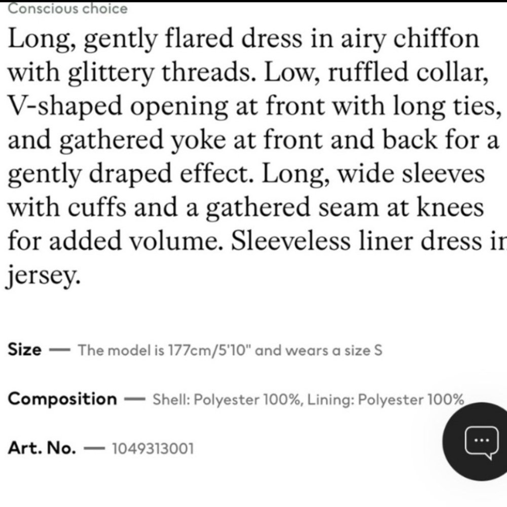 NWOT H&M Long Chiffon Maxi Dress - Picture 4 of 4